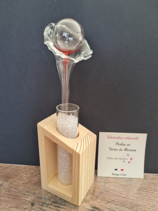 SOLIFLORE Fleur soufflée 